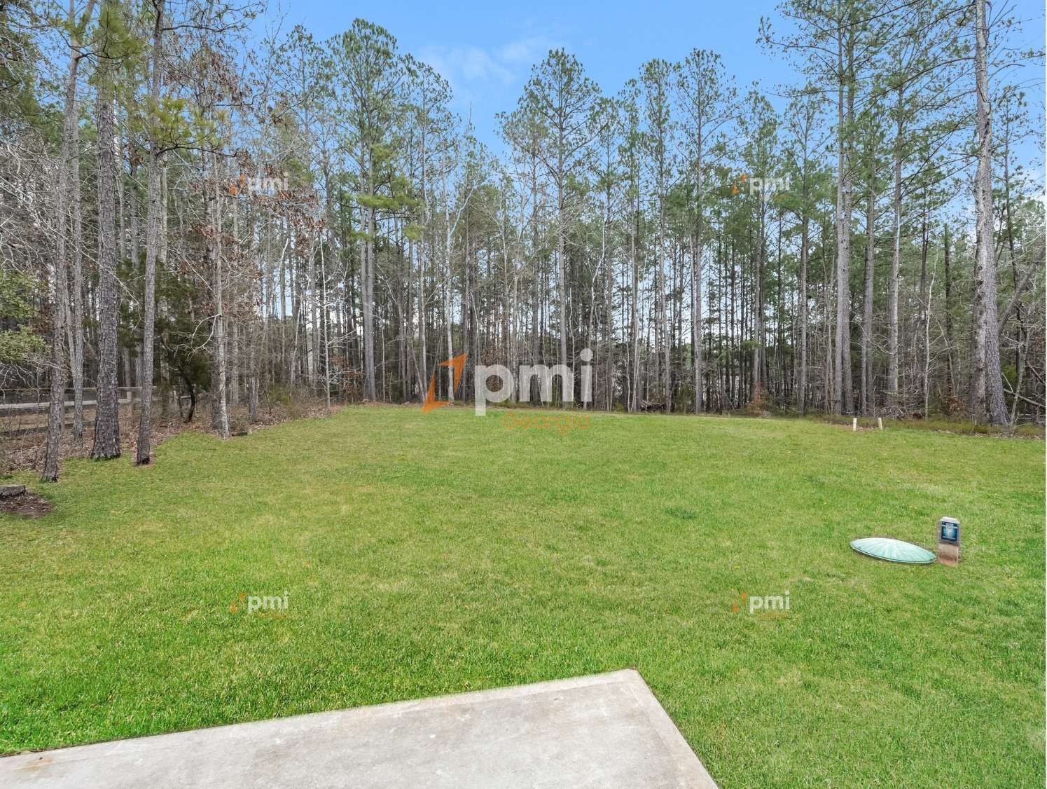 Gorgeous 4 Bedroom Home in Covington, Ga! property image