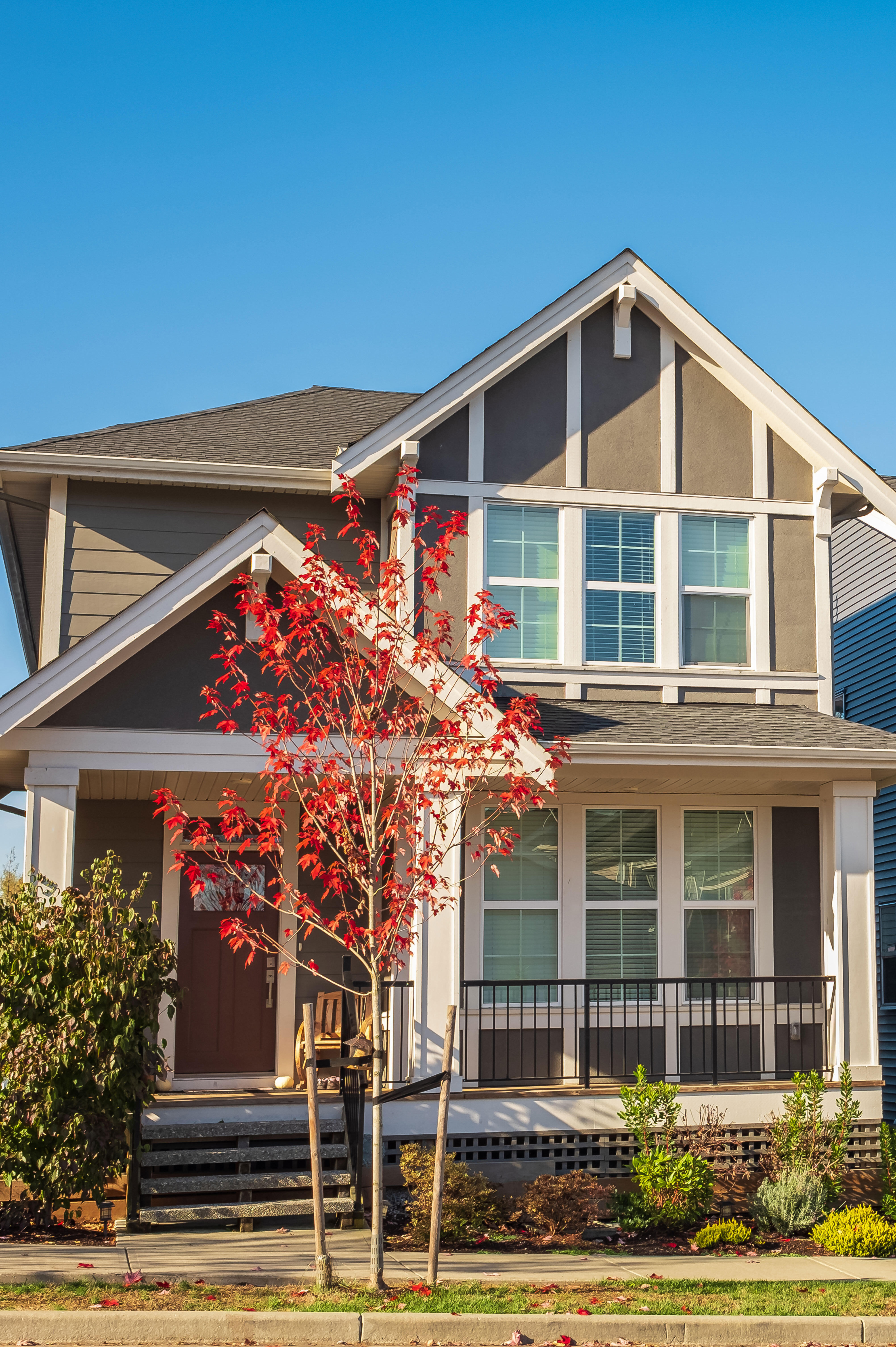 Palmetto Property Management